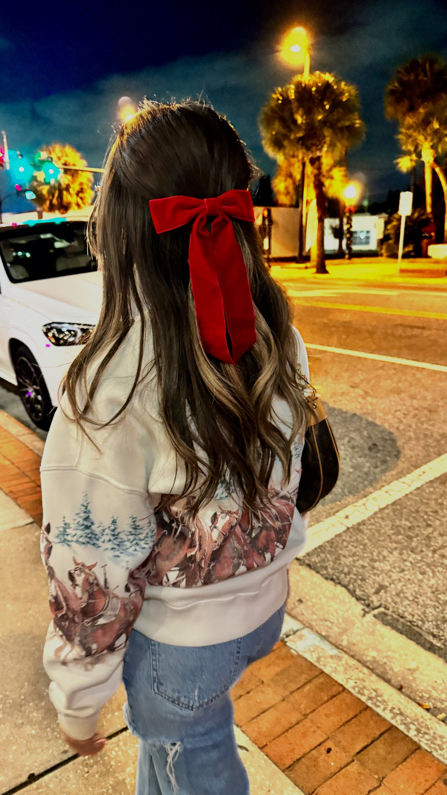 Velvet Bows