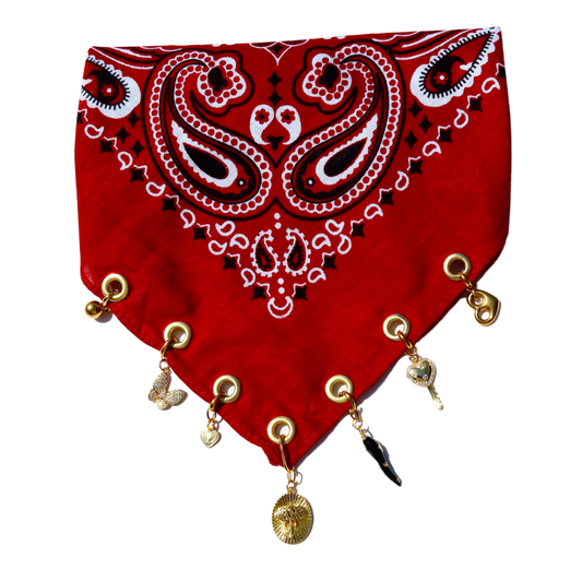 Charmed Bandana
